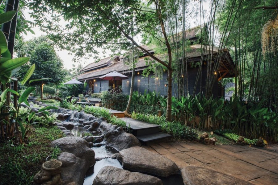 The Most Effective & BudgetFriendly Weight Loss Retreat In Asia