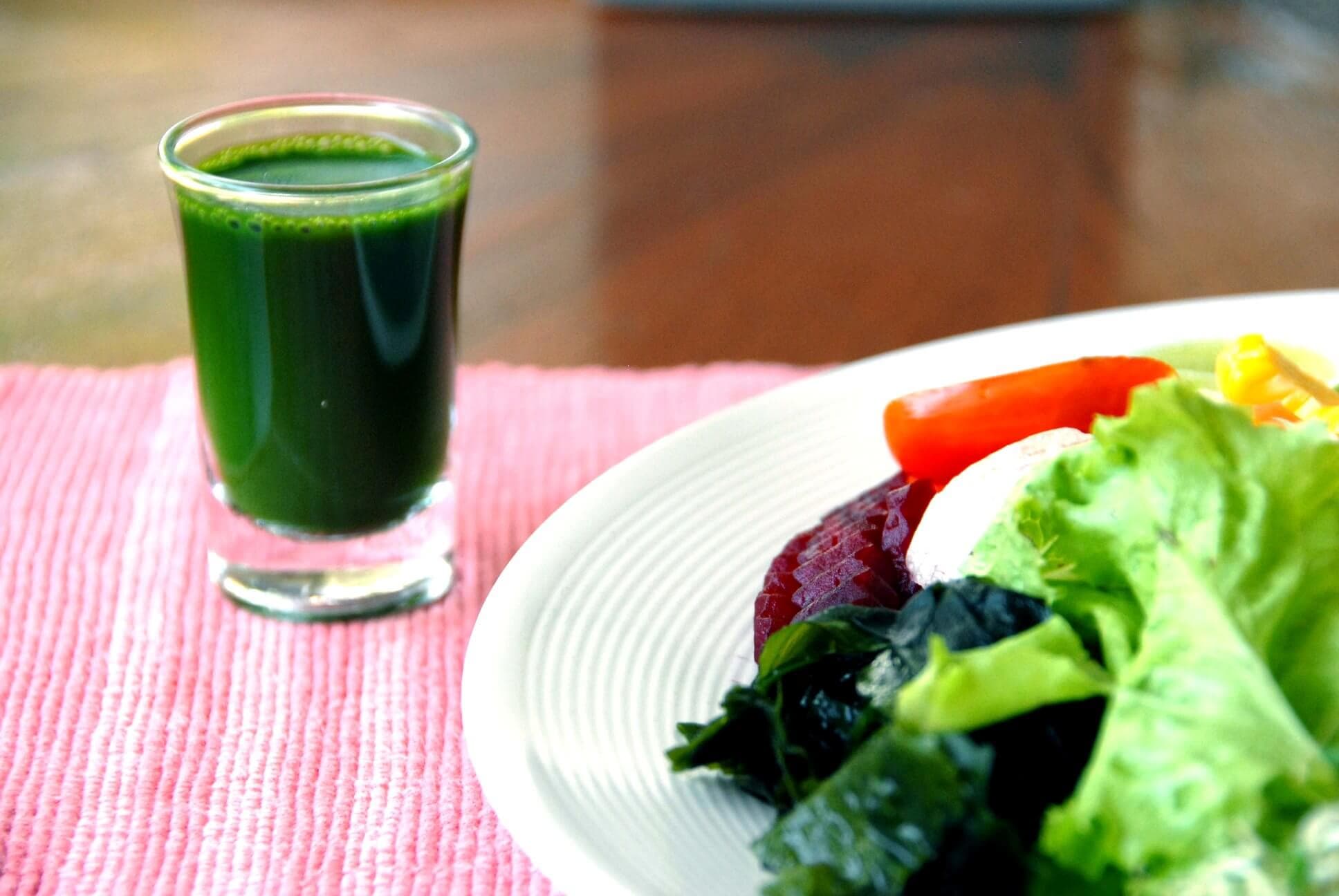 Inside Tao Garden Chiang Mai’s Intensive Weight Loss Programmes