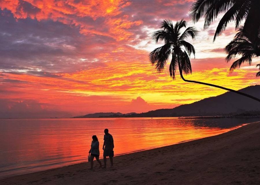 Detox at The Spa | Image courtesy of The Spa Koh Samui