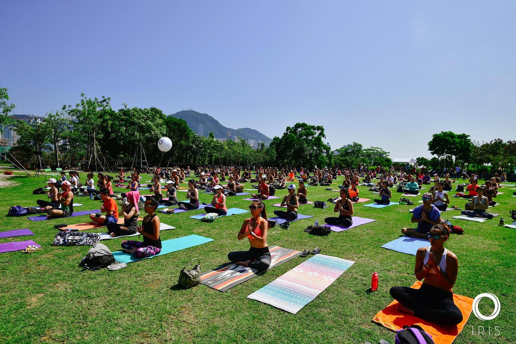 wellness festivals, yoga festivals