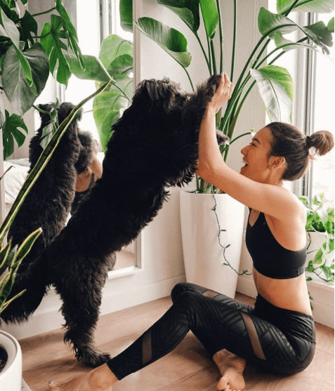Year of the dog, dog yoga, doga, dogs doing yoga, pets doing yoga