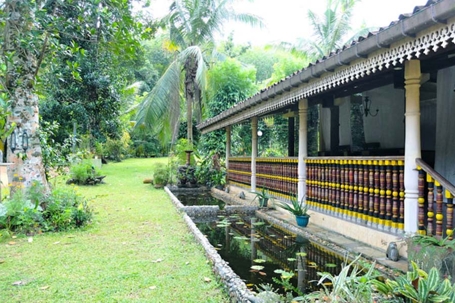 Plantation Villa Sri Lanka Resort Retreat Yoga