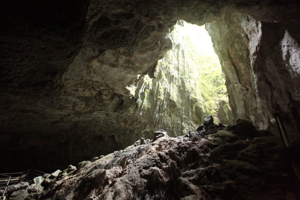 Ayus Wellness: A Forest-Bathing Digital Detox In The Borneo Jungle