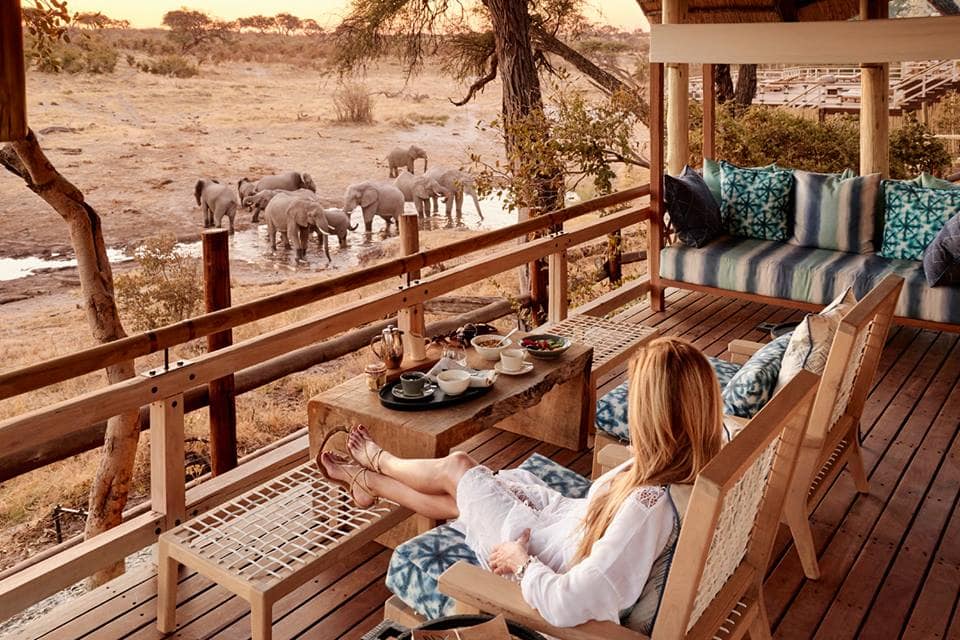 luxury safari spa, lion king safari holiday