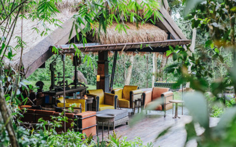 Shinta Mani Wild, cambodia, wellness in cambodia, jungle retreats, luxury wellness retreats, eco retreats, sustainable retreats